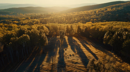 Stunning drone perspective of a mountain forest at sunset, casting long shadows across the landscapeの素材