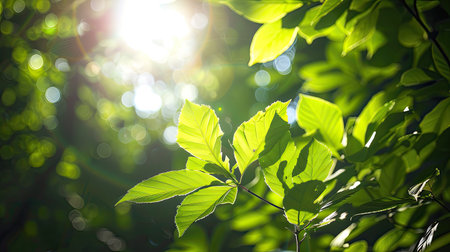 Sunlight filtering through vibrant spring leaves in a lush forest, highlighting natural beautyの素材