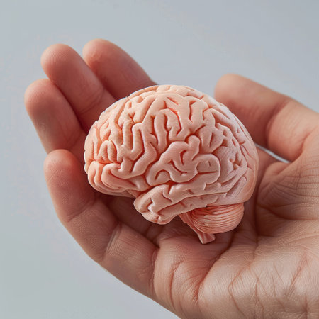 Close-up of a hand carefully holding a printed human brain, representing breakthroughs in medical research and cognitionの素材