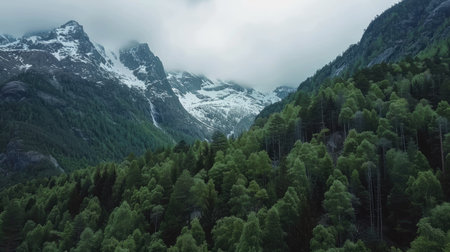 Drone perspective of snow-capped peaks towering over a dense evergreen forest in the mountainsの素材