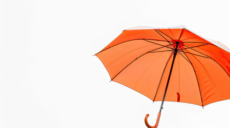 Bold orange umbrella standing tall with vibrant contrast on whiteの素材