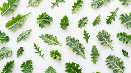 Fresh palm kale foliage arranged in a harmonious pattern on a minimalist white surfaceの素材