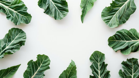Top-down perspective of tropical palm kale leaves isolated on a minimalist white surface, highlighting their lush textureの素材