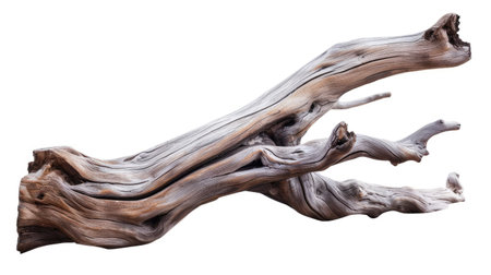 Isolated driftwood sculpture with smooth contours, perfect for decorative conceptsの素材