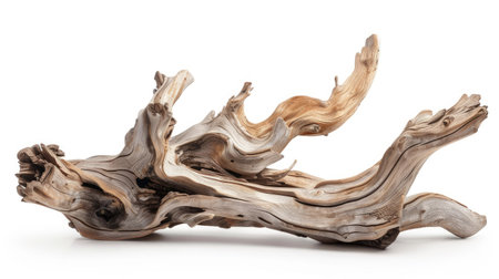 Intricately shaped driftwood art piece isolated on white, perfect for product showcasesの素材
