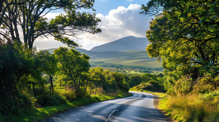 Countryside road flanked by green trees and scenic mountain viewsの素材