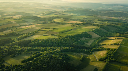 Stunning aerial view from airplane window, capturing verdant forests and open fieldsの素材