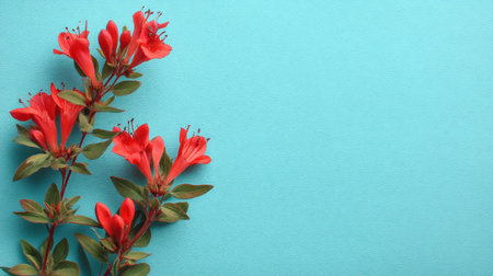 A striking arrangement of vibrant red flowers against a soft turquoise background, perfect for adding a lively touch to invitations, websites, and art projects.の素材