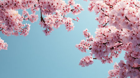 A stunning display of cherry blossoms with vibrant pink flowers against a clear blue sky, capturing the essence of spring and nature's beauty in full bloom.の素材