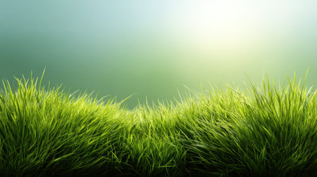 Vibrant and lush green grass creates a serene atmosphere, illuminated by soft natural light, perfect for nature-inspired themes and outdoor relaxation visuals.の素材