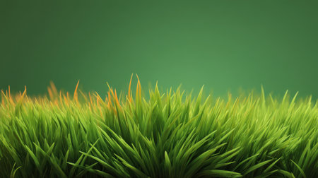 This image captures a close-up view of vibrant green grass with gentle highlights, set against a soft-focused background, perfect for nature themes and designs.の素材