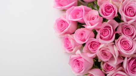 A stunning display of fresh pink roses on a white background, symbolizing beauty and love, ideal for romantic occasions, events, and artistic floral arrangements.の素材