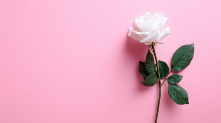 A stunning white rose with lush green leaves rests on a soft pink background, creating a visually captivating image ideal for floral, romantic, and wedding themes.の素材