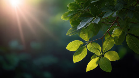 This image showcases vibrant green leaves illuminated by gentle sunlight, creating a calm and refreshing atmosphere perfect for nature-themed projects or wellness content.の素材