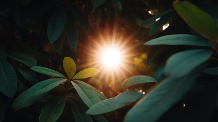 A captivating scene featuring sunlight filtering through lush green leaves, highlighting the beauty of nature with a warm glow that creates a serene atmosphere.の素材