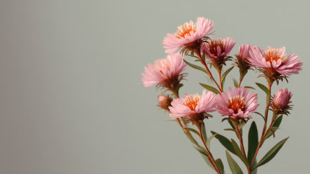 A stunning bouquet of pink flowers with intricate petals and vibrant centers brings a touch of nature's beauty to any space, perfect for decor or inspiration.の素材