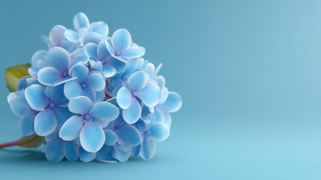 A stunning collection of delicate blue flowers arranged gracefully against a light blue background, perfect for nature-themed designs or floral decorations.の素材