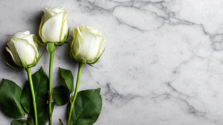 This beautiful image features three pristine white roses gracefully arranged against a smooth marble background, evoking feelings of elegance and tranquility.の素材