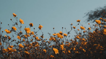 A stunning scene of vibrant yellow flowers swaying gently against a calming blue sky, showcasing the beauty of springtime in a tranquil outdoor setting.の素材