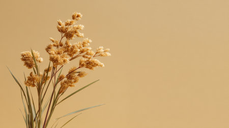 A stunning arrangement of dried flowers against a soft yellow background, perfect for adding a touch of elegance to any interior decor or artistic project.の素材