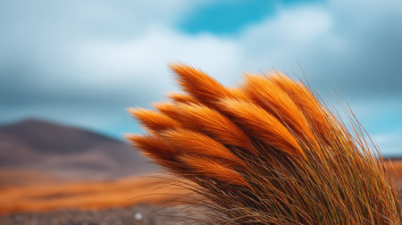 A stunning close-up of golden grass with lush blades stands out against a dramatic sky, showcasing the beauty of nature in a tranquil landscape filled with vibrant colors.の素材