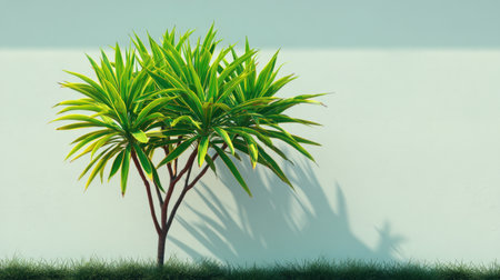 This image features a vibrant green plant against a minimalist white wall, capturing natural beauty with the interplay of light and shadow, perfect for decor and design projects.の素材