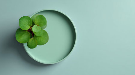 A serene image featuring a green plant in a round pot on a soft turquoise surface, perfect for modern home decor and capturing the essence of nature and simplicity.の素材