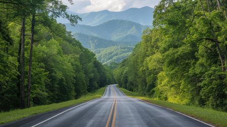 Driving along a long road into the Great Smoky Mountains National Park, Tennessee, with panoramic views of lush forest and hillsの素材