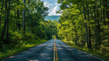 Driving along a long road into the Great Smoky Mountains National Park, Tennessee, with panoramic views of lush forest and hillsの素材