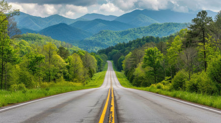 Long, straight road leading to the Great Smoky Mountains National Park, Tennessee, with dense forests and distant mountain peaksの素材