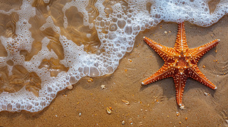 Bright starfish on a sandy beach with sea water, ideal for seasonal backgroundsの素材