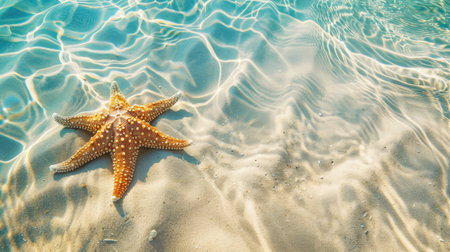 Bright starfish on a sandy beach with clear water, ideal for summer backgroundsの素材