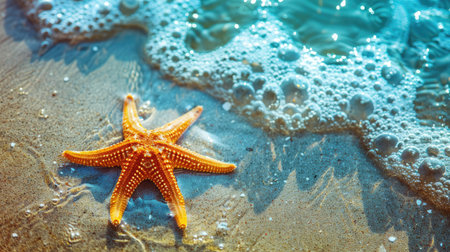 Vibrant starfish resting in clear water on a beach, ideal for summer backgrounds a10b59a79983の素材