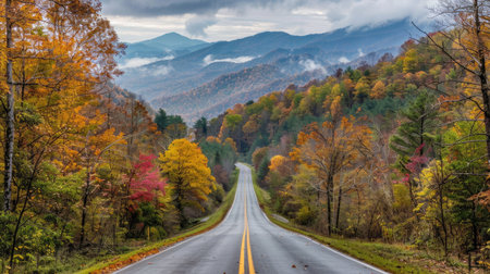 Long road leading to the entrance of the Great Smoky Mountains National Park, Tennessee, framed by towering trees and rolling hillsの素材