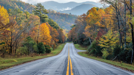 Road stretching towards the Great Smoky Mountains National Park, Tennessee, with a backdrop of dense woods and rolling hillsの素材