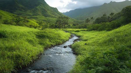 A stream flowing through a lush green valley, highlighting natural water sourcesの素材