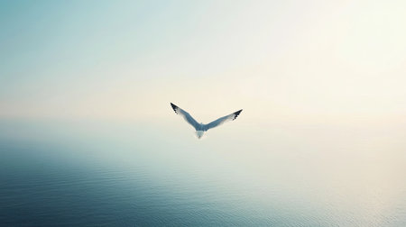 A lone seagull soaring over the open sea, with endless water below and a clear sky above, symbolizing freedom.の素材