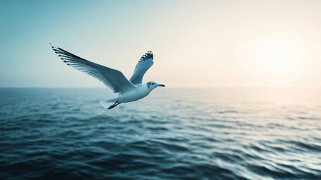 A lone seagull soaring over the open sea, with endless water below and a clear sky above, symbolizing freedom.の素材