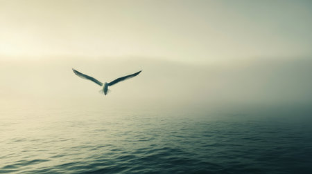 A lone seagull soaring over the open sea, with endless water below and a clear sky above, symbolizing freedom.の素材
