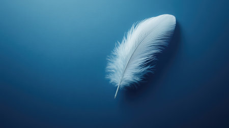Blue background with a single white feather, delicately placed and softly shadowedの素材