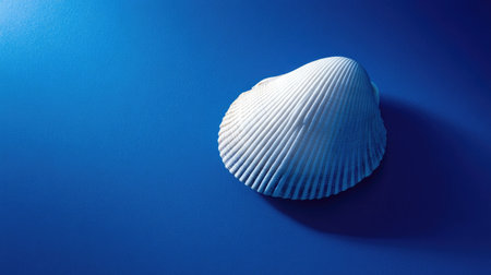 Bright blue background with a single white shell, centered and softly lit, casting a soft shadowの素材