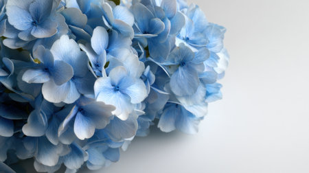 A stunning arrangement of delicate blue hydrangea flowers set against a soft neutral background. Perfect for floral decoration, design inspiration, and tranquil settings.の素材