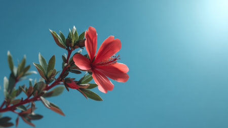 A striking red flower stands out against a bright blue background, capturing the essence of nature's artistry with its delicate petals and lush green leaves.の素材
