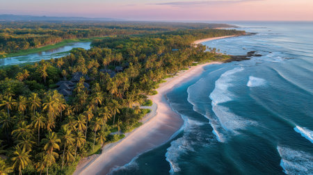 Experience the beauty of a tropical coastline with this aerial view showcasing golden sands, lush palm trees, and gentle waves under a stunning sunset sky.の素材