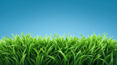 A stunning view of lush green grass set against a clear blue sky, perfect for depicting nature's beauty and tranquility in various outdoor themes and projects.の素材