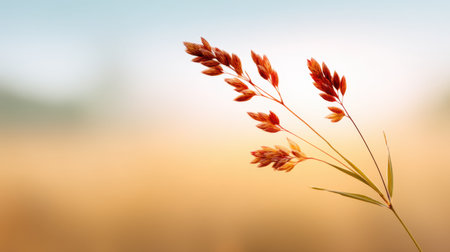 A single plant stalk stands gracefully against a softly blurred background, embodying the essence of simplicity and tranquility in nature's beauty.の素材