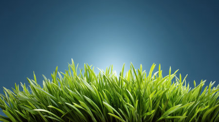This vibrant close-up image captures lush green grass blades against a soft blue background, symbolizing freshness, nature, and tranquility in outdoor settings.の素材