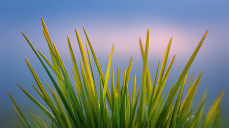 Vibrant close-up of slender green grass blades with hints of yellow, set against a soft pastel background, capturing the serenity of nature's beauty at dusk.の素材