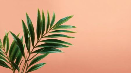 Beautiful green palm leaves contrast with a soft peach background, perfect for creating a tranquil, tropical vibe in design projects or home decor.の素材