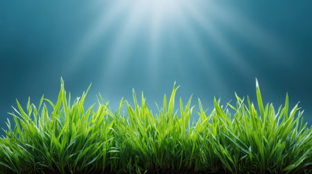 This image showcases vibrant green grass beneath soft sunlight rays. The tranquil atmosphere invites feelings of peace and relaxation, celebrating nature's beauty.の素材